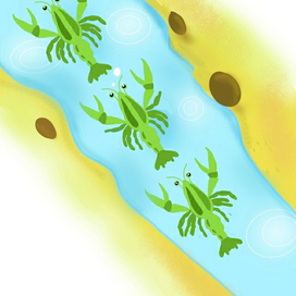 Раки ползут