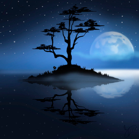 “Ночной пейзаж”