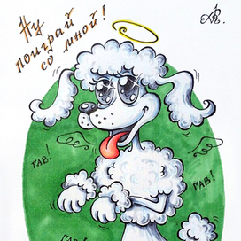 Игривый пудель