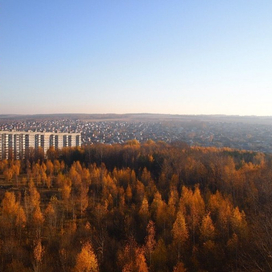 Ноксинский Лес Восток