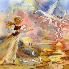 Дикие лебеди