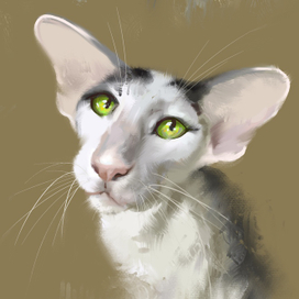 Портрет ориентального кота