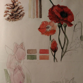 Ботанические зарисовки в скетчбуке (1)