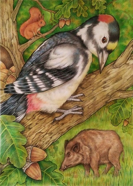 Скинь жёлудь!