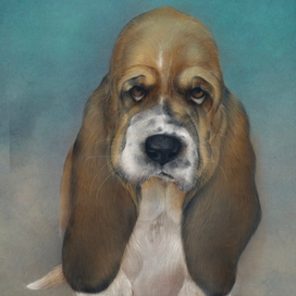 Совсем большой 