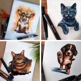 Кошки против собак