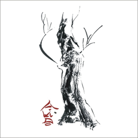 элемент оформления для школы айкидо