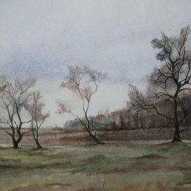 Низовья реки Катунь. Алтай.