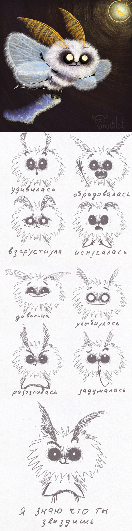 Запасливая моль