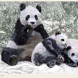 Энциклопедия животных