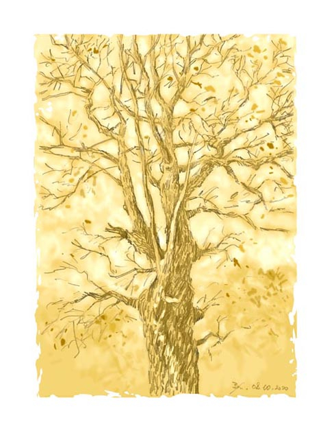 Большие деревья 5