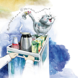 Самолётный кот