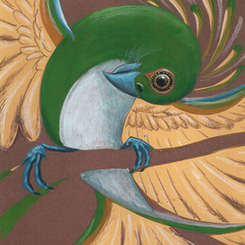 Тропическая птичка