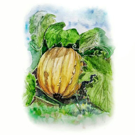 Огород тоже лес