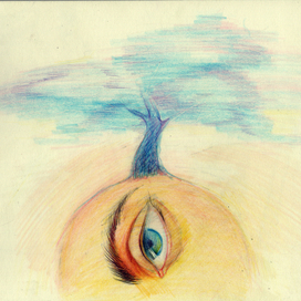 Солнце и Дерево