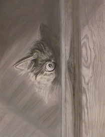 Любопытная кошка