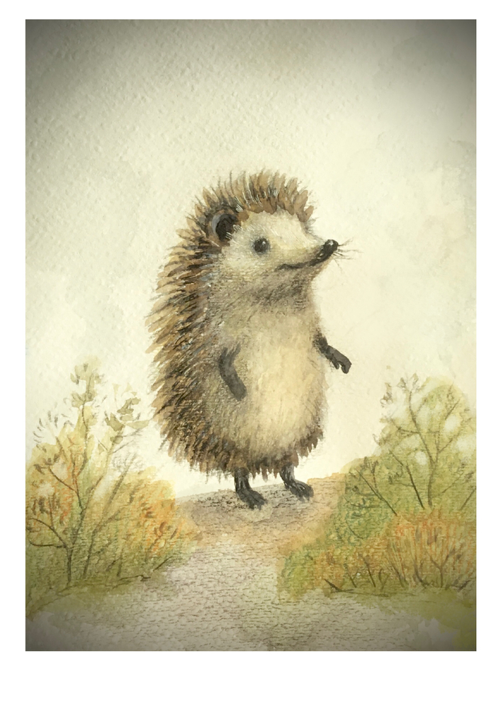 Ежик в тумане