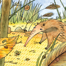 Найди муравьишек