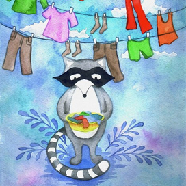 Енот стирает