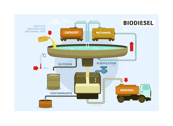 I2BF / illustrations