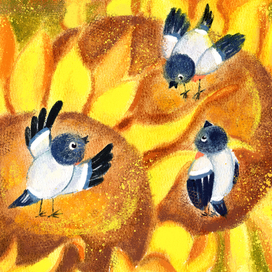 Подсолнухи.