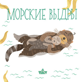 Как спят зверята? Морские выдры.