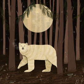 Иллюстрация для книги "Белый медведь"