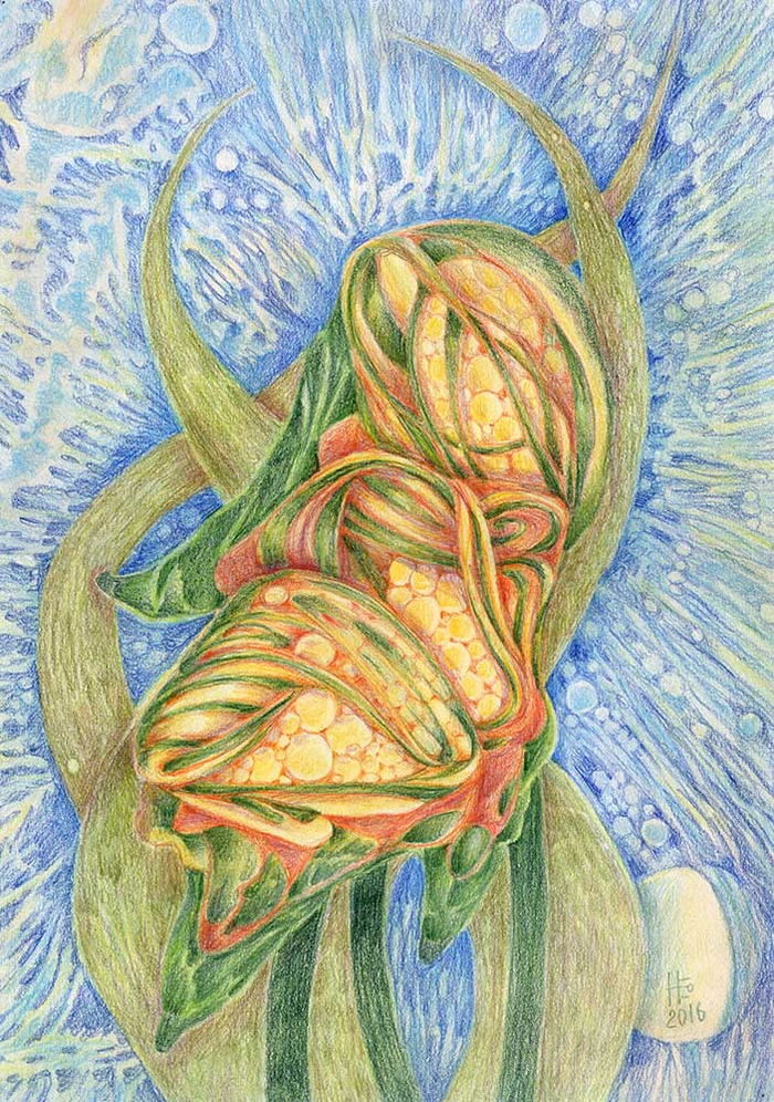 трио полное семян