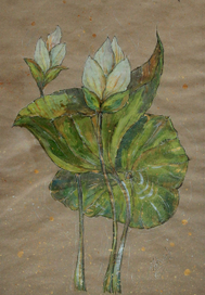 Лотосы. Возрождение.