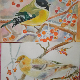 Birds