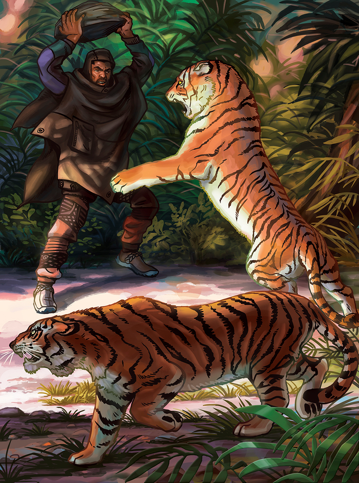 Туманность Андромеды