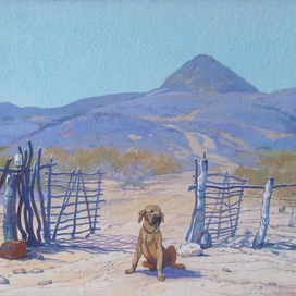 Фила бразилейру