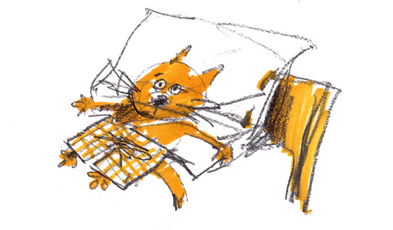 Кто я? С какого я района?...