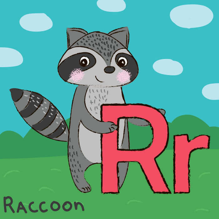 Raccoon