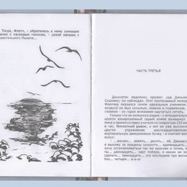 иллюстрация к отрывку книги "Чайка по имени Джонатан Левингстон"