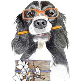 Собока учитель 