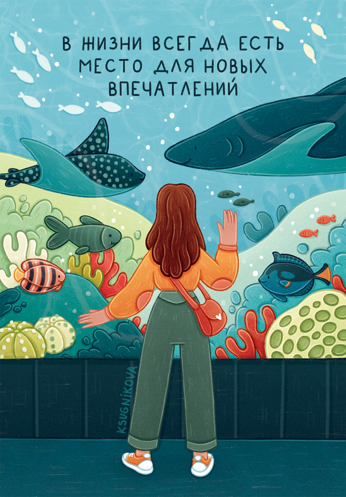 Впечатления