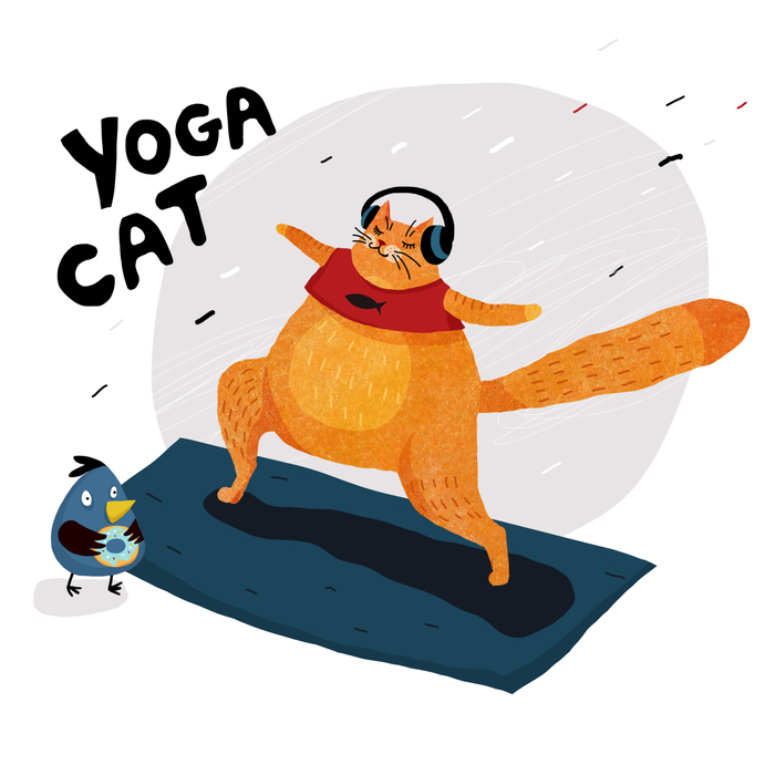 yoga cat