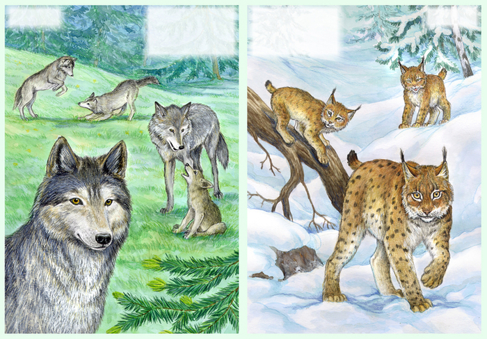 Хищные, но симпатичные