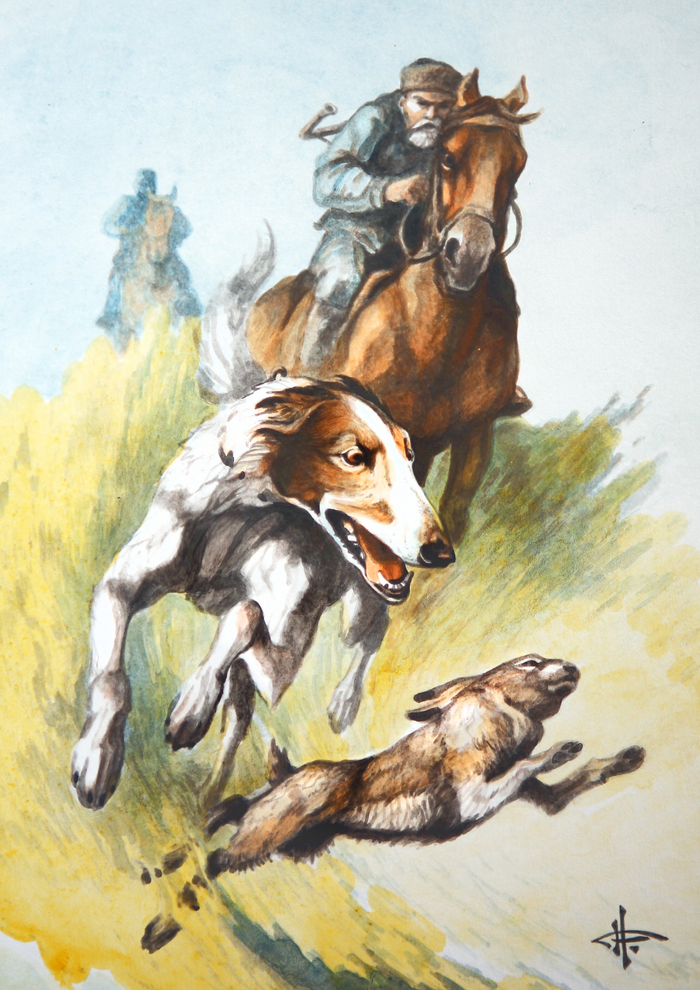 Матёрый русак...