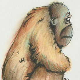 Что делать?