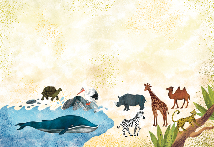 Разворот книги