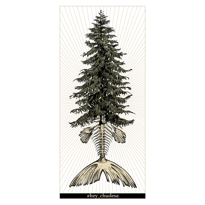 Метаморфозы