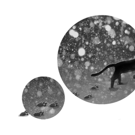 Кот уходящий