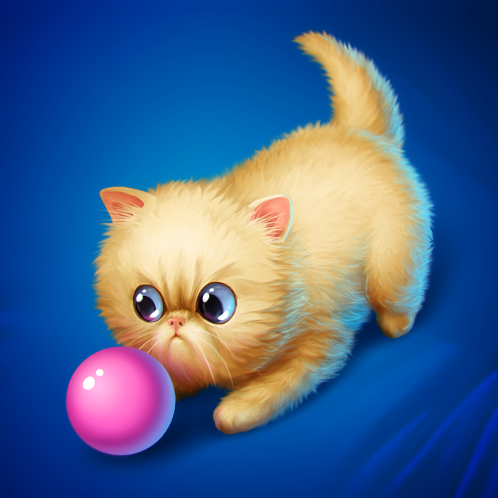 Персидский котик