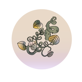 Принт для одежды