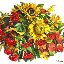 Калина красная