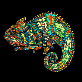 Принт "Хамелеон" на одежду.