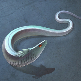 Зеркальная змейка