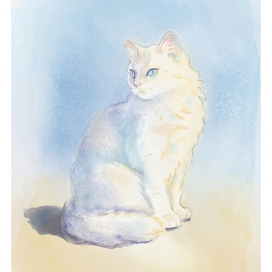 кот на солнце